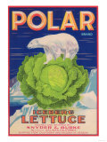 Polar Lettuce Label - Salinas  CA