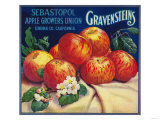 Sebastopol Gravensteins Apple Label - Sonoma  CA