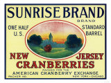 Sunrise Brand Cranberry Label
