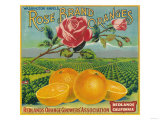 Rose Orange Label - Redlands  CA