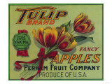 Tulip Apple Crate Label - Yakima  WA