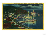 Night Time on Santa Catalina at Avalon Bay - Santa Catalina  CA