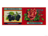 Rose Blackberry Label - San Francisco  CA