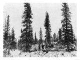 Snow Camping North of the Arctic Circle Photograph - Alaska