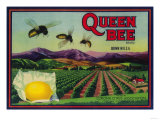 Queen Bee Lemon Label - Corona  CA