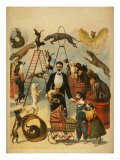 Trained Dog Act Theatrical Poster