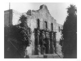 The Alamo in San Antonio  TX Photograph No2 - San Antonio  TX