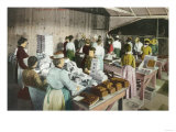 Workers Packing Goodies - Fresno  CA