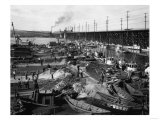 Fishermen's Terminal at Salmon Bay Photograph - Seattle  WA