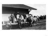Young Men Posing on a Mule Wagon