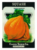 Squash Seed Packet
