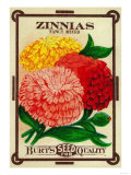 Zinnias Seed Packet