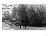 A Winter View of Manito Park - Spokane  WA