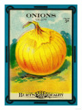 Onions Seed Packet