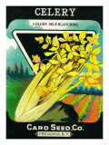 Celery Seed Packet