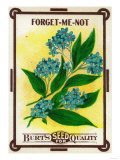Forget Me Not Seed Packet