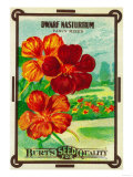 Dwarf Nasturtium Seed Packet