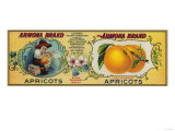 Armona Apricot Label - San Francisco  CA
