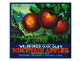 Wilshire's Oak Glen Apple Crate Label - Yucaipa  CA