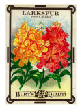 Larkspur Seed Packet