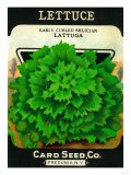 Lettuce Seed Packet