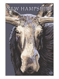 New Hampshire - Moose Up Close