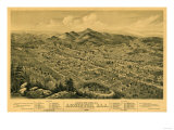 Anniston  Alabama - Panoramic Map
