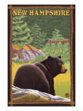 New Hampshire - Black Bear in Forest