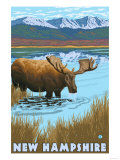 New Hampshire - Moose Drinking in Lake