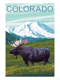 Moose with Mountain - Colorado