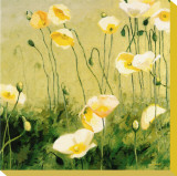 In the Midday Sun