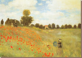 Field of Poppies  c1886