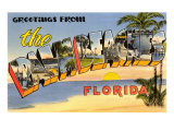 Greetings from Palm Beaches  Florida