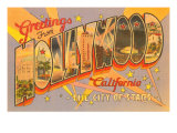 Greetings from Hollywood  California