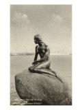 Little Mermaid  Copenhagen  Denmark