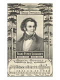 Franz Schubert and Music