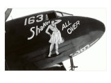 Nose Art  Shake All Over  Hula Girl