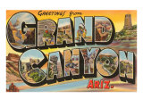 Greetings from Grand Canyon  Arizona