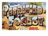 Greetings from Petrified Forest  Arizona