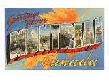 Greetings from Montreal  Canada