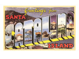 Greetings from Catalina Island  California
