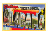 Greetings from Tuscaloosa  Alabama