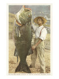 Huge Black Sea Bass  Catalina  California