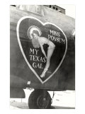 Nose Art  Miss Possum  Pin-Up