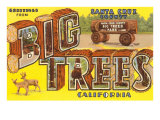 Greetings from Big Trees  Santa Cruz  California