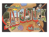 Greetings from Saugatuck  Michigan