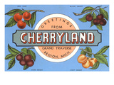 Greetings from Cherryland  Grand Traverse  Michigan
