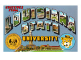 Greetings from Louisiana State University  Louisiana