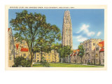 Yale University  New Haven  Connecticut