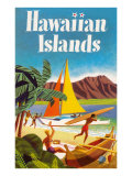 Hawaiian Islands Poster